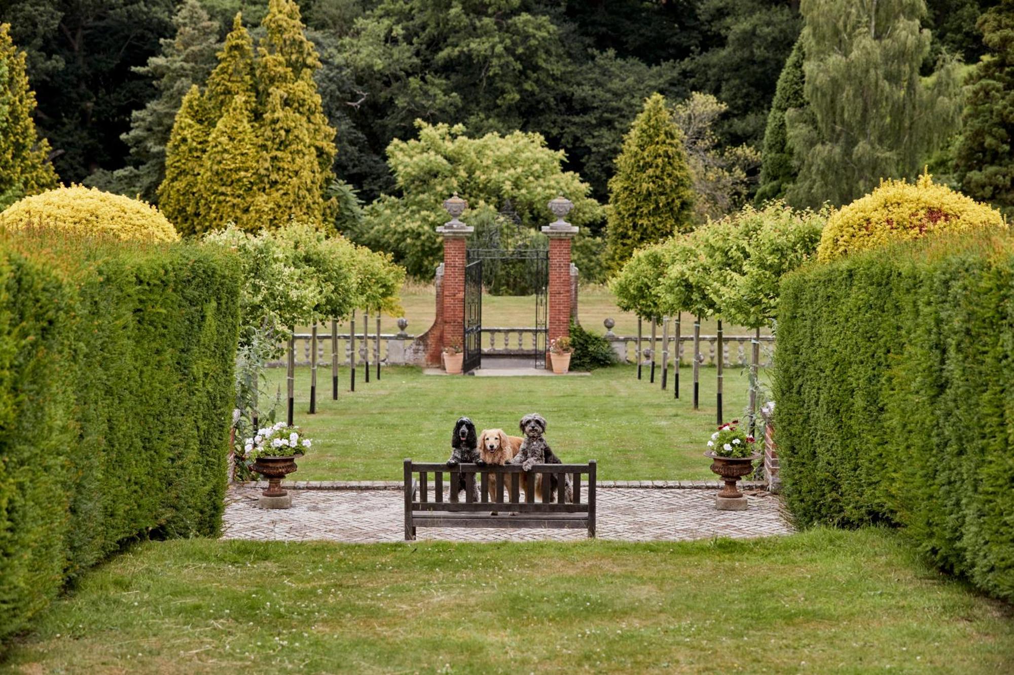 Mount Ephraim Glamping Pods *